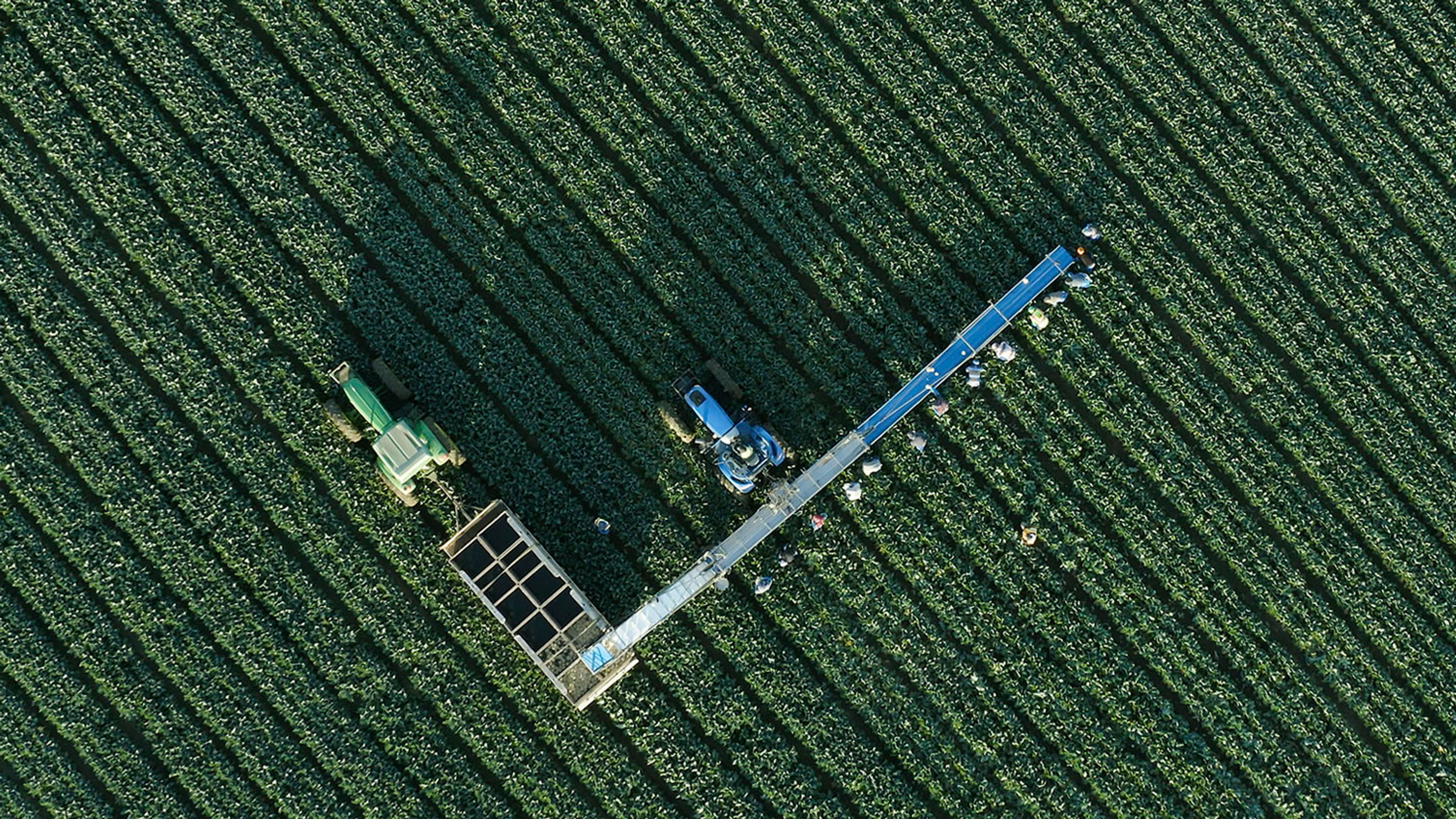 Aerial Reel